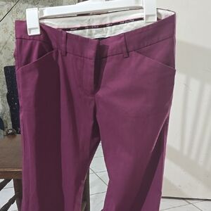 Purple Dress Pants